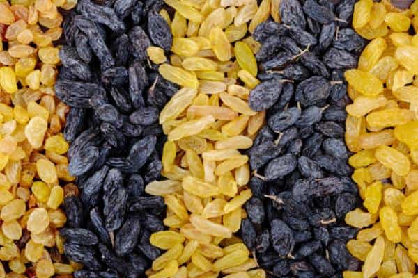تصویر 4 از قیمت کشمش آفتابی اصفهان با کیفیت ارزان + خرید عمده